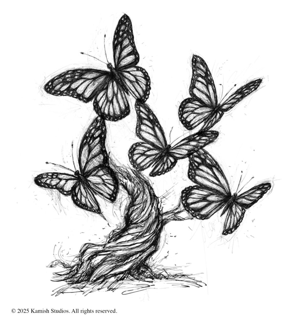 butterfly conceptual drawing